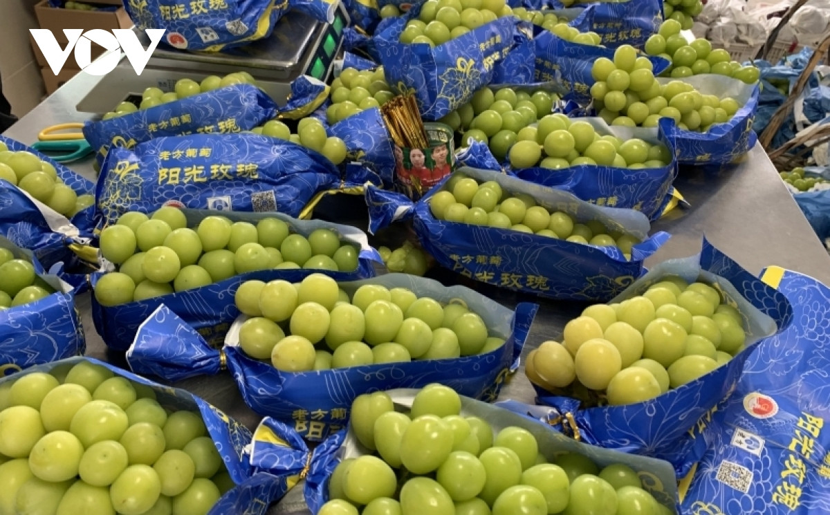 nho sua o trung quoc khong con la loai hoa qua quy toc hinh anh 1