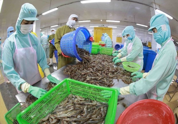 Shrimp export falling, tra fish up hinh anh 1