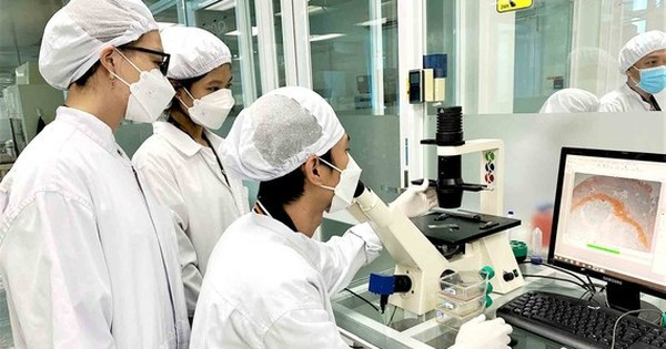 Vietnam sees great potential in stem cell technology