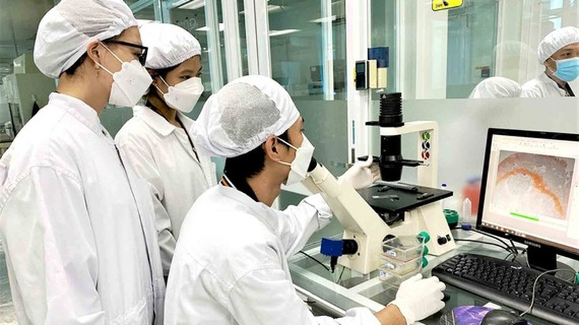 Vietnam sees great potential in stem cell technology ảnh 1