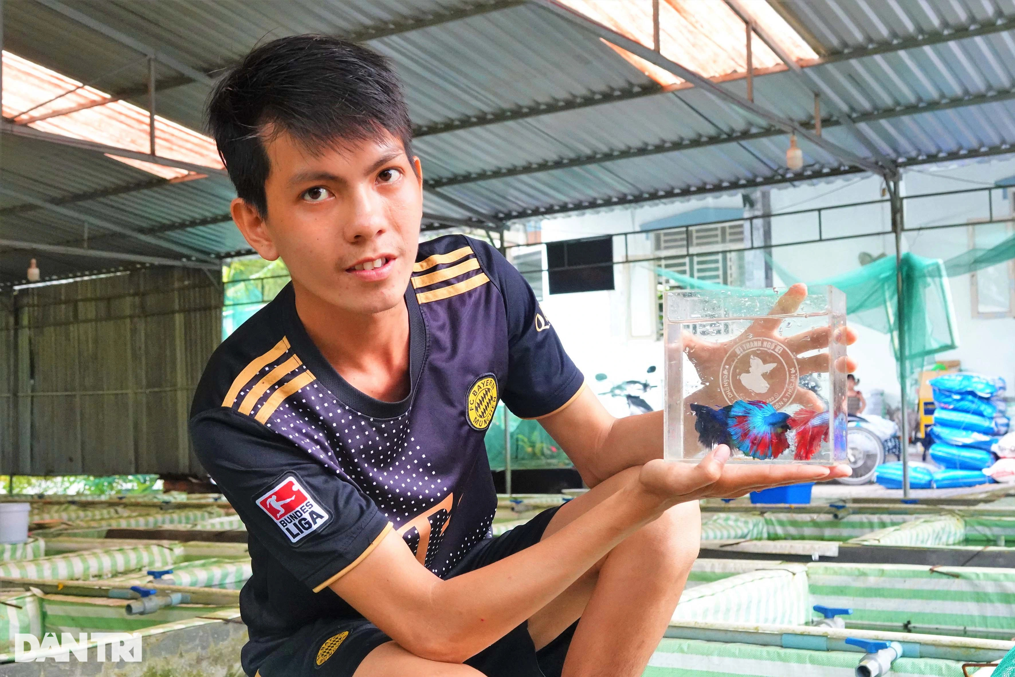 Sinh viên dừng học khởi nghiệp với loài cá bơi đẹp như vũ công, thắng đậm - 1