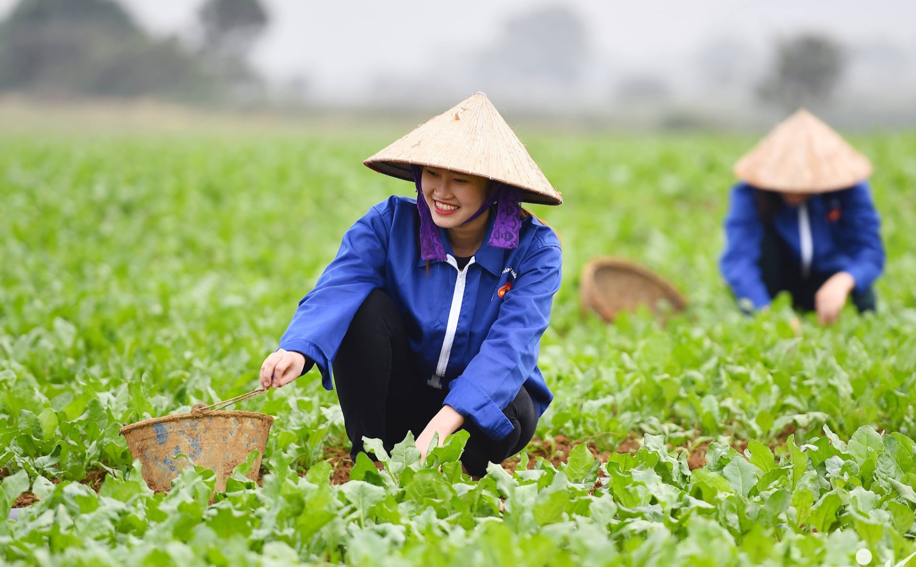 Nông dân giỏi làm giàu, thu nhập cả chục tỷ mỗi năm