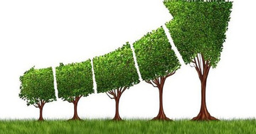 National steering committee on green growth established