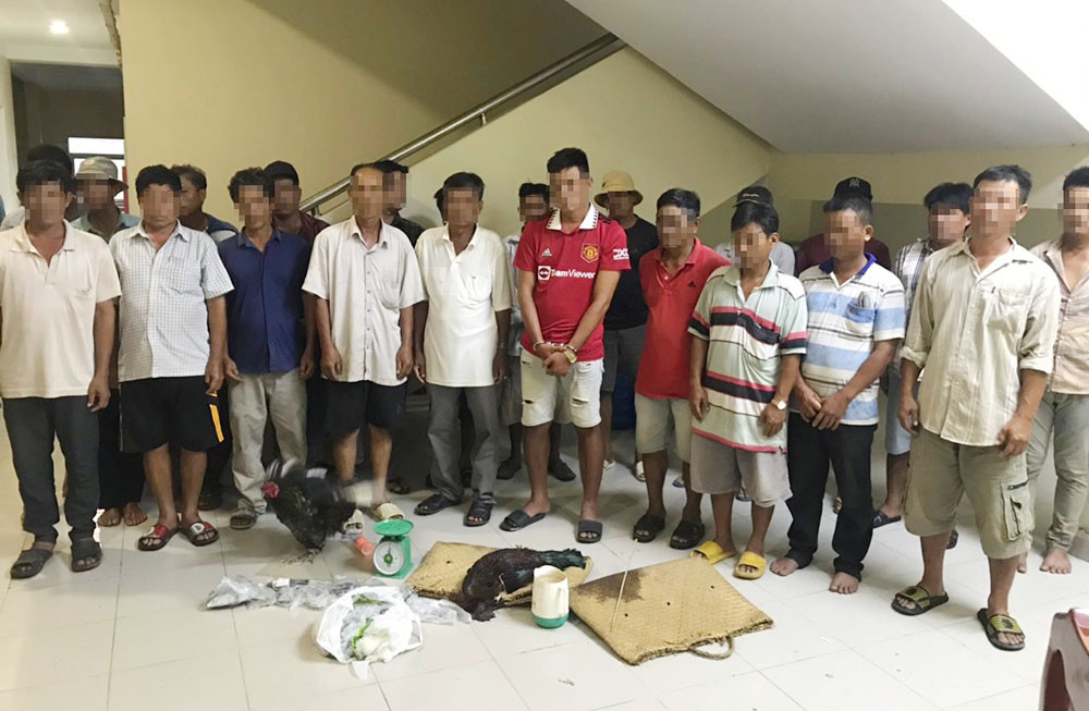 Triệt xoá trường gà vùng ven TP.HCM