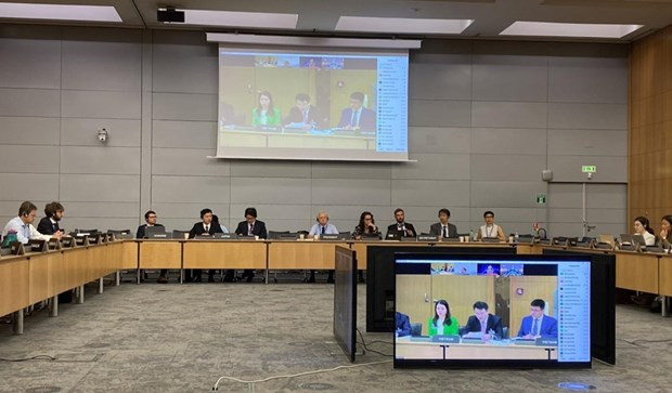 Vietnam, OECD talk draft economic report hinh anh 1