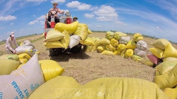 Agricultural sector persists 50 billion USD export target hinh anh 1