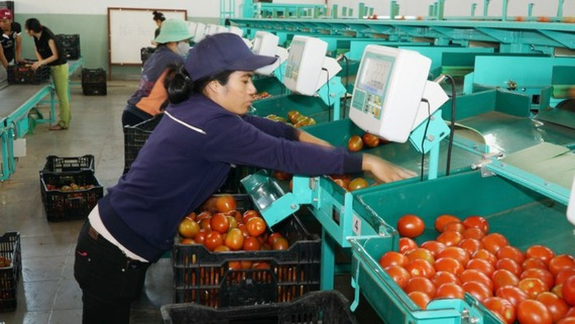 Enterprises concerned about losing export momentum ảnh 1