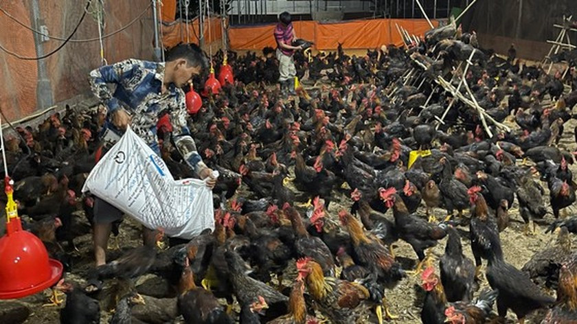 Enterprises concerned about losing export momentum ảnh 2