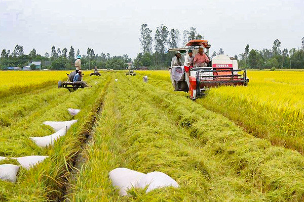 Đền bù tài sản trên đất nông nghiệp