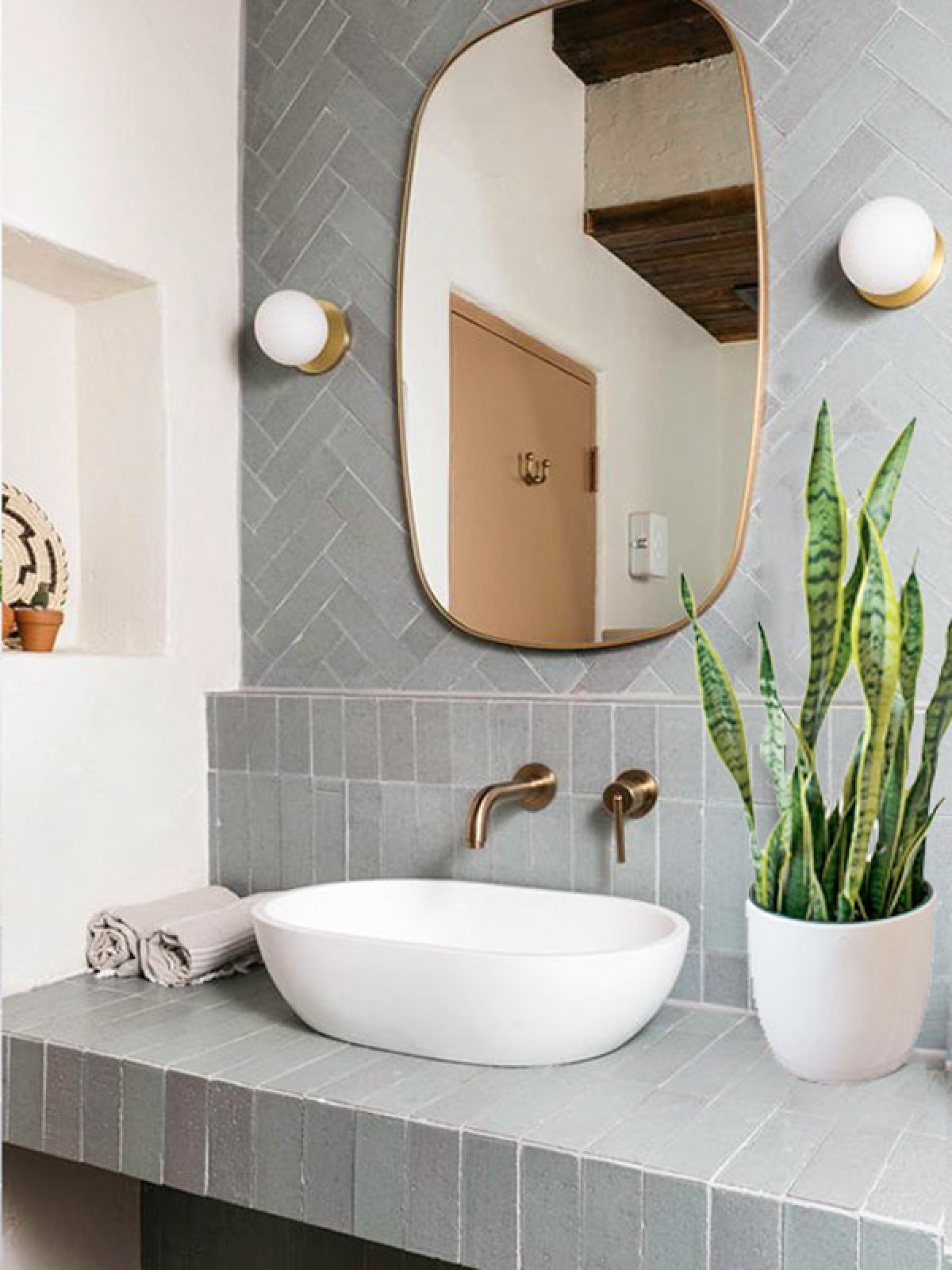 nhung loai cay thich hop nen dat trong phong tam nha ban hinh anh 10