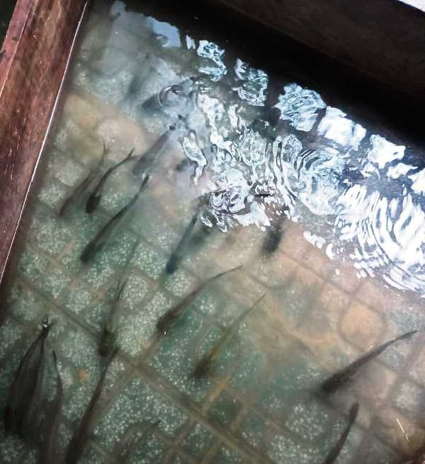 Nước ngập lút ô tô, xe máy trên đường phố Nam Định - 9