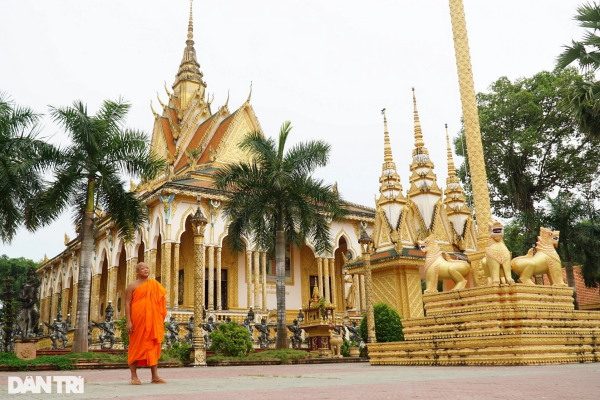 Hàng nghìn con chim trú ngụ trong ngôi chùa cổ 300 năm
