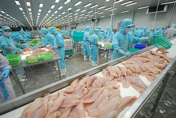 China holds strong potential for Vietnamese seafood in 2023