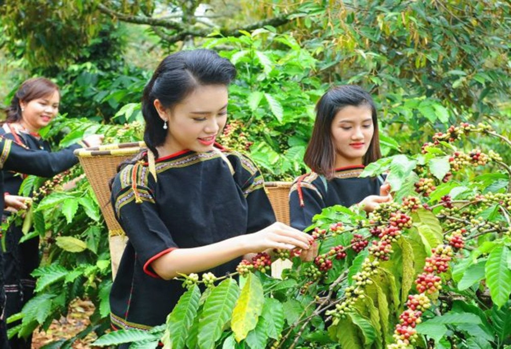 Khôi phục một số tập quán tốt, bảo vệ rừng của đồng bào dân tộc thiểu số