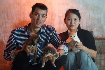 'Biệt đội' cứu hộ chó, mèo ở Đà Nẵng