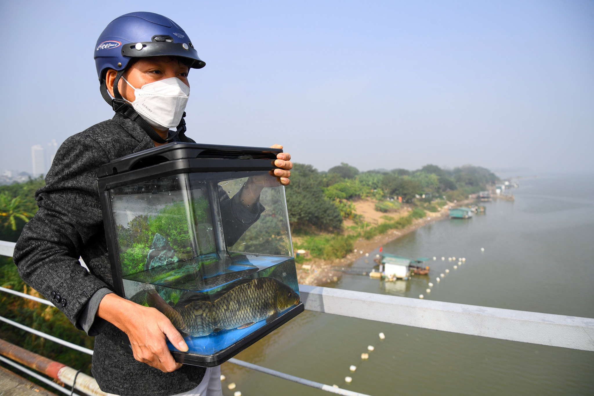 Lặn lội 10km lên cầu Long Biên thả cá chép tiễn Táo quân