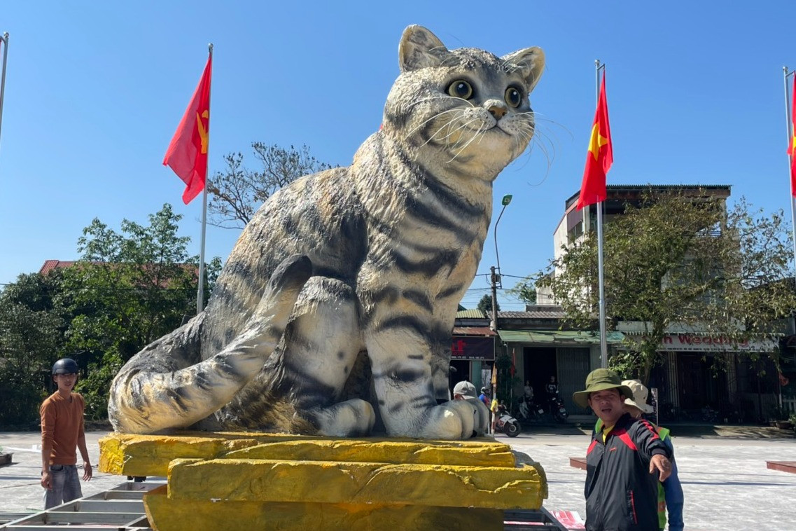 'Hoa hậu' linh vật mèo ở Quảng Trị nhận cơn mưa lời khen vì quá đáng yêu