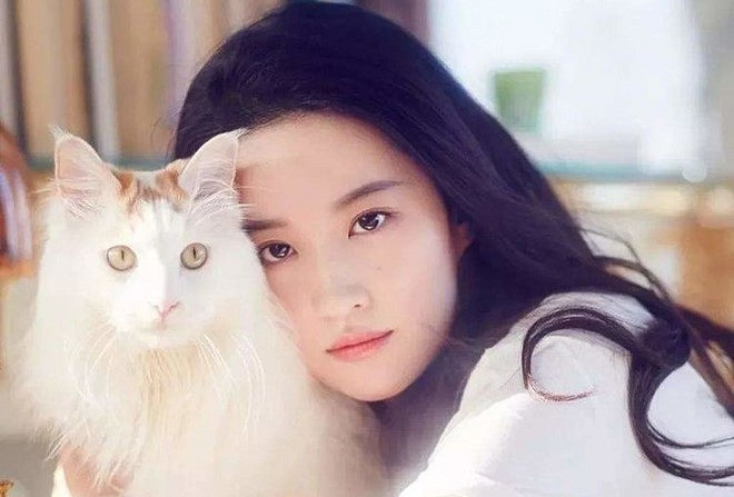 Lưu Diệc Phi sống độc thân cùng 16 con mèo, có bộ sưu tập xe hàng hiệu