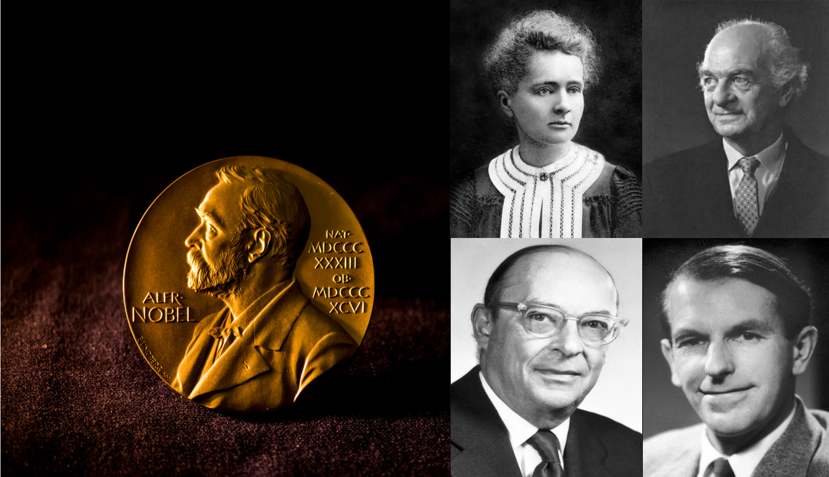 4 nhà khoa học vĩ đại từng 2 lần đoạt giải Nobel là ai?