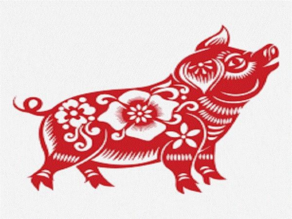 Tử vi 2023 tuổi Hợi sinh năm 1959