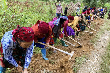 Hỗ trợ thúc đẩy bình đẳng giới vùng đồng bào dân tộc thiểu số và miền núi