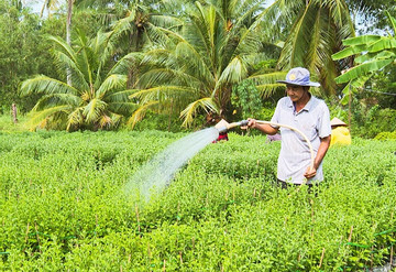 Trà Vinh thực hiện 10 dự án nâng cao mức sống cho đồng bào DTTS