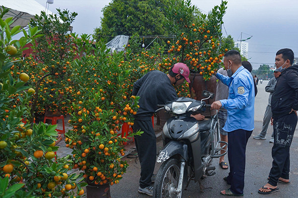 Đào quất ế ẩm, tiểu thương như 'ngồi trên đống lửa'