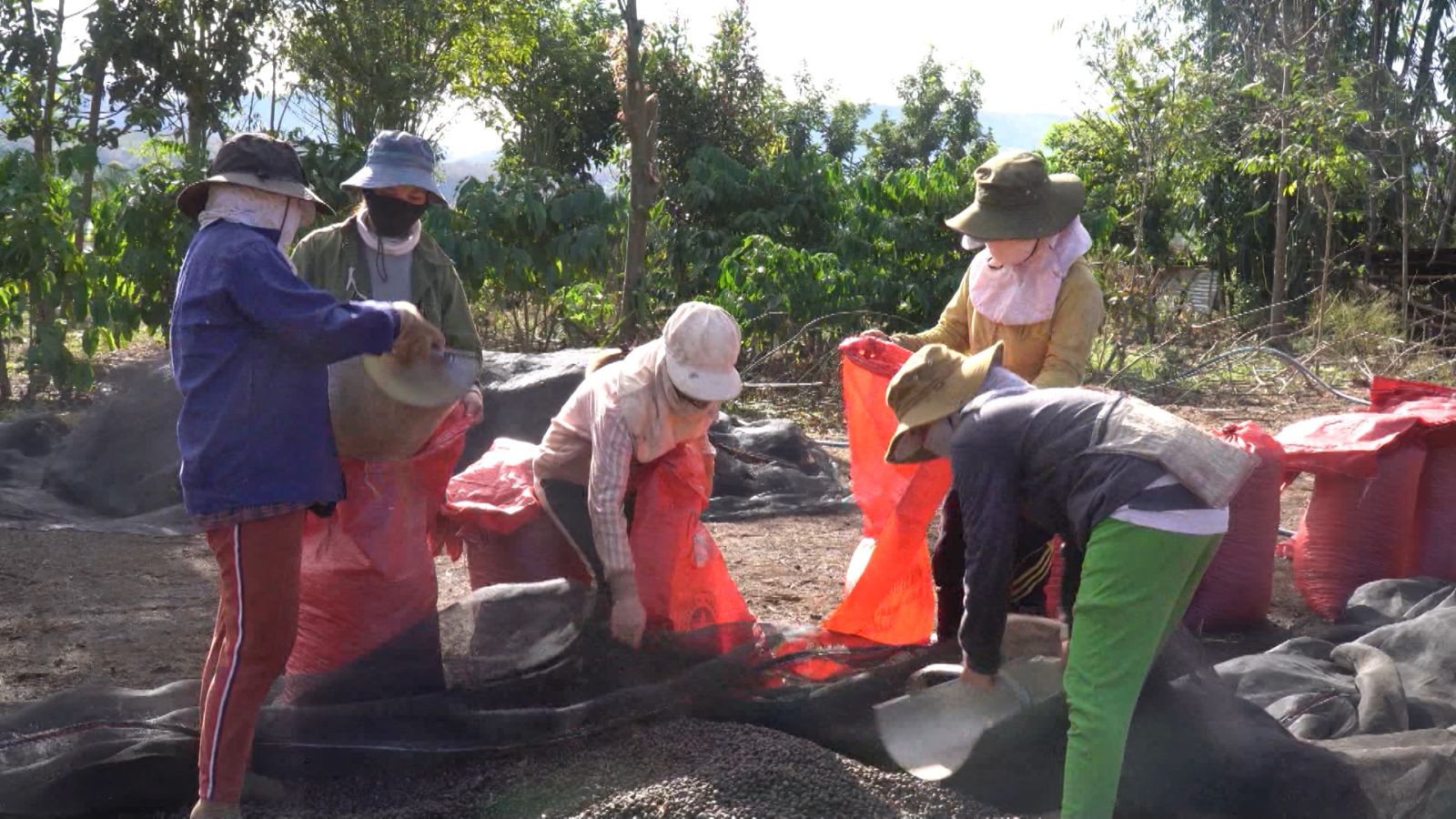 Kon Tum: Nhiều hộ gia đình dân tộc thiểu số ở Đắk Hà viết đơn xin thoát nghèo