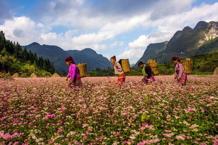 Hà Giang bảo tồn văn hóa truyền thống của đồng bào DTTS trong tình hình mới