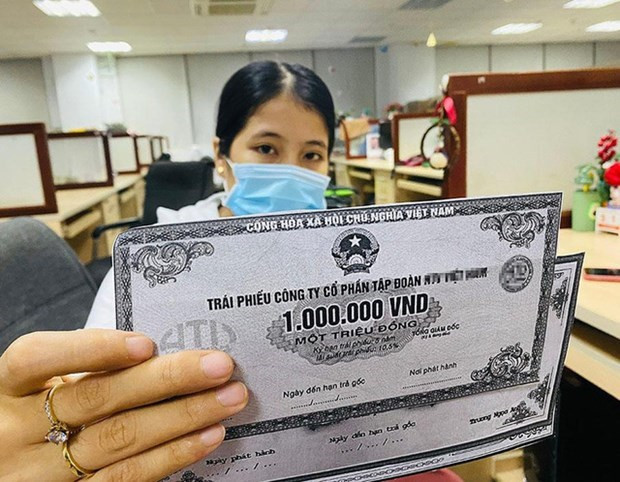 Volume of corporate bond’s private placement decrease by 66% in 2022 hinh anh 1