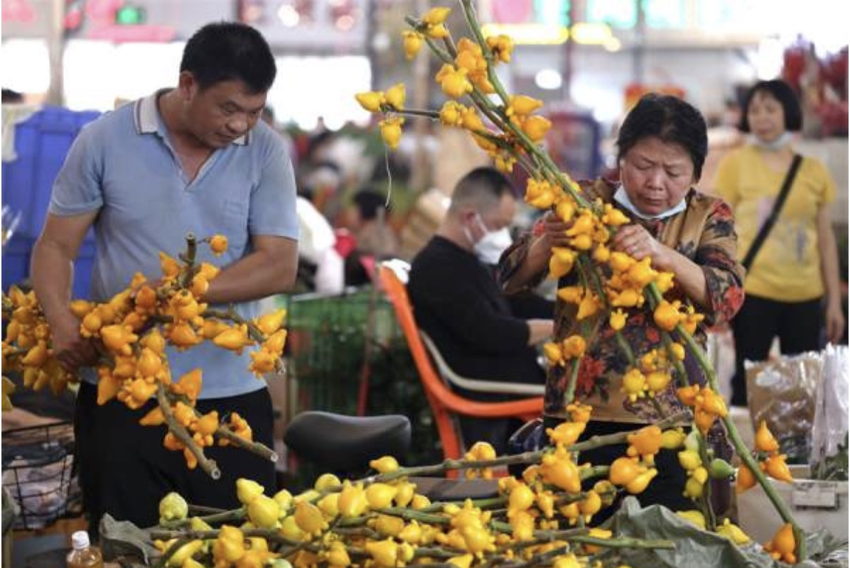 Cận cảnh chợ hoa Tết ở Trung Quốc