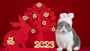 Vì sao Trung Quốc, Nhật Bản... đón năm con thỏ, Việt Nam lại đón năm con mèo?