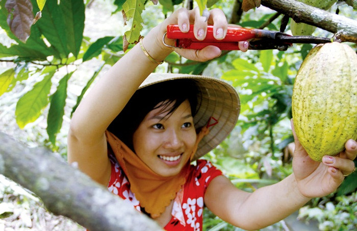 Từng bước hình thành mô hình nông thôn mới thông minh ở Đắk Nông