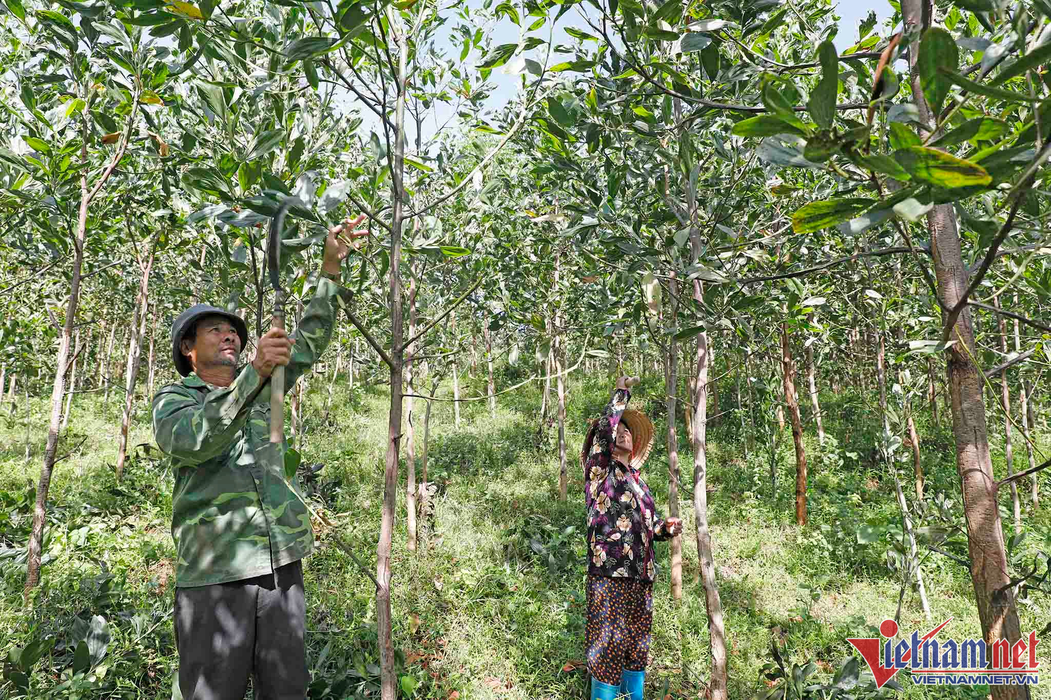 Tăng cường thanh toán không dùng tiền mặt ở nông thôn