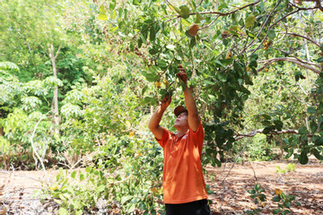 Thanh Bình giữ vững chất lượng các tiêu chí nông thôn mới nâng cao