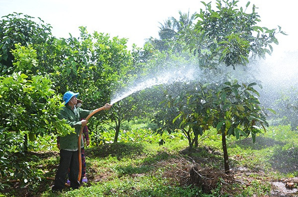 Kiên Giang: Đề nghị công nhận 5 xã đạt nông thôn mới nâng cao