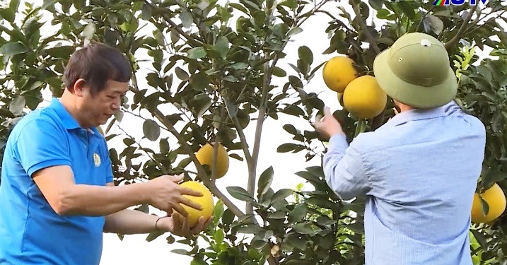 Đồng Yên tập trung thực hiện tiêu chí xã nông thôn mới nâng cao