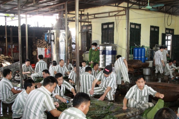 Không khí đón Tết ở nơi đặc biệt