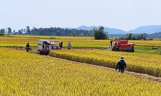 Cát Minh tập trung nguồn lực, đồng lòng xây dựng nông thôn mới nâng cao