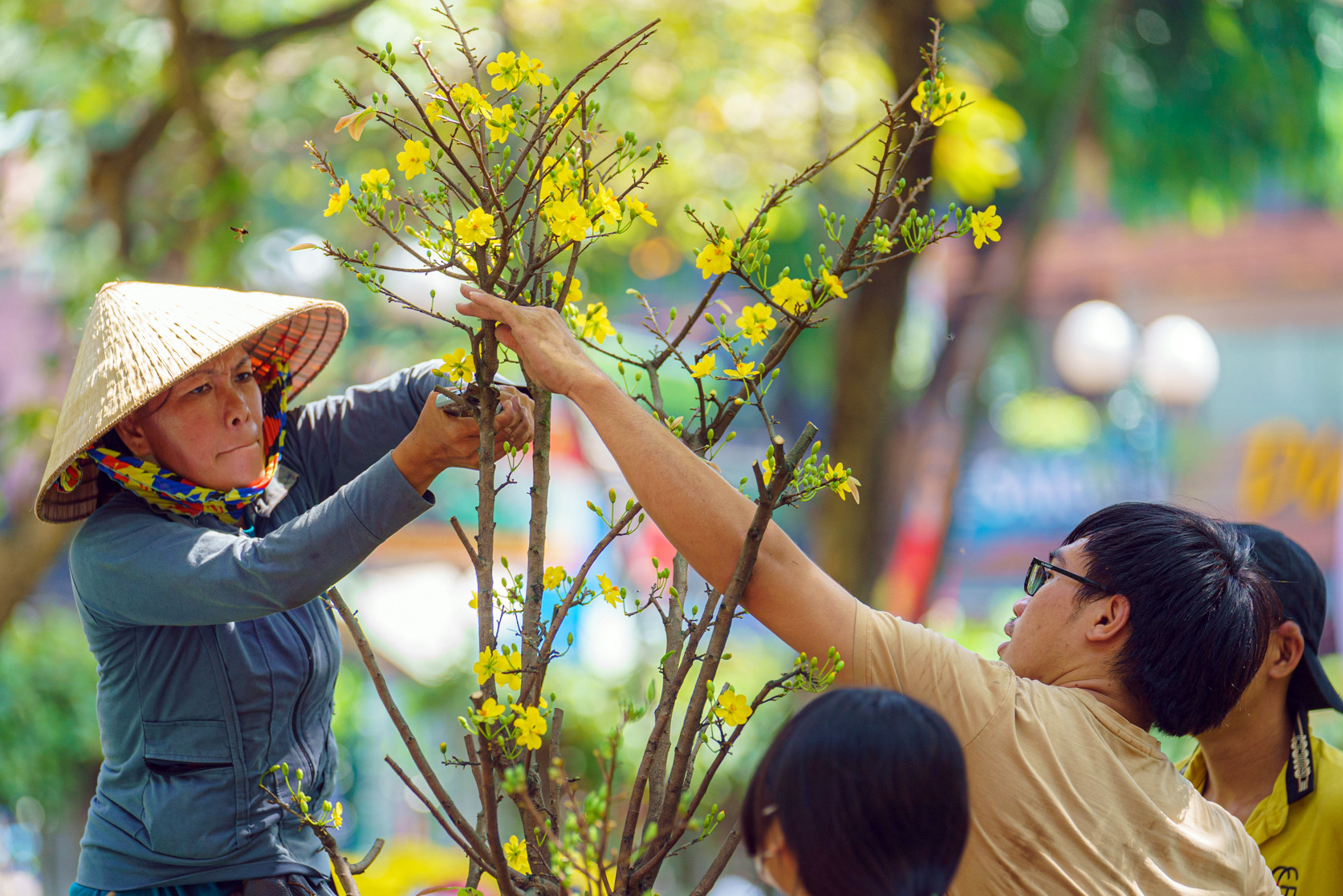 Tiểu thương bán tháo, cắt cành mai tặng khách trưa 30 Tết