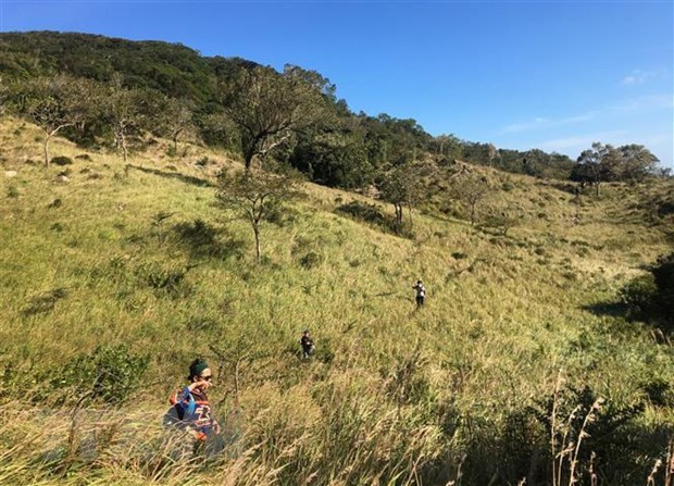 National park promotes biodiversity conservation to lure tourists hinh anh 1