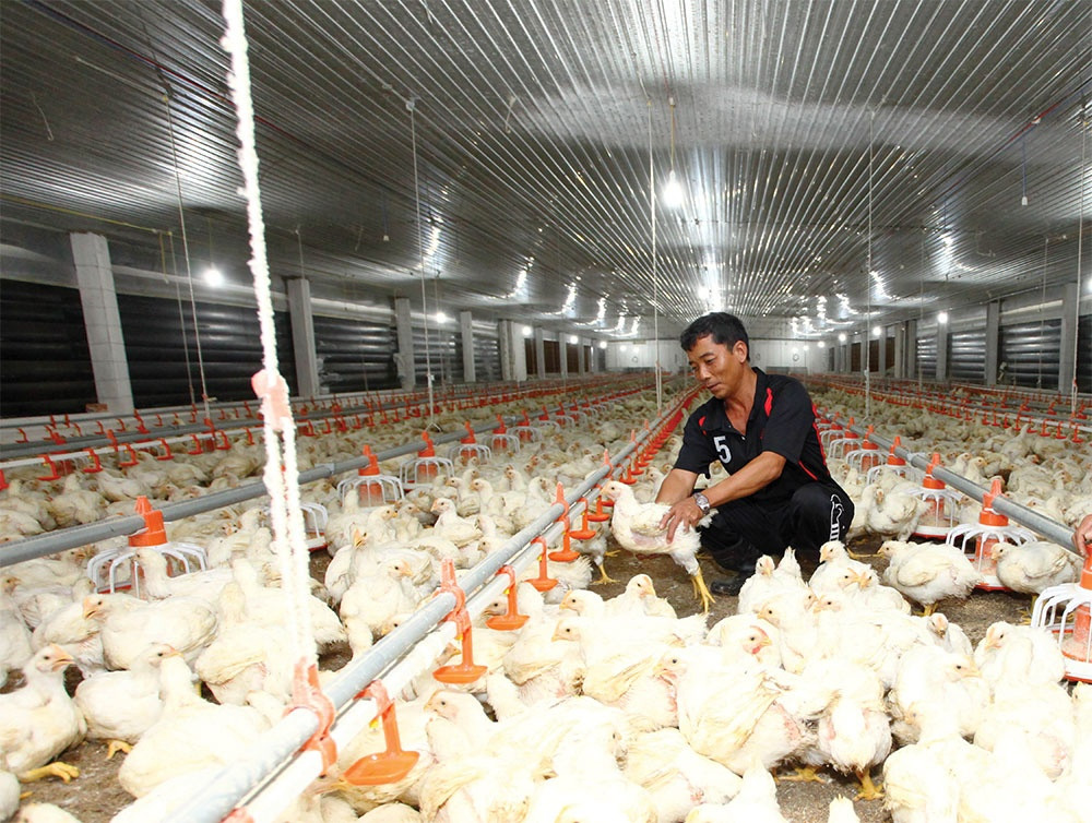 Husbandry groups tackle profit dips