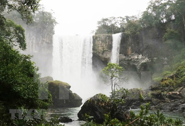 Biodiversity of Kon Ha Nung Biosphere Reserves discovered hinh anh 2