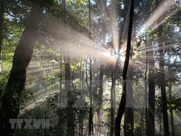 Biodiversity of Kon Ha Nung Biosphere Reserves discovered