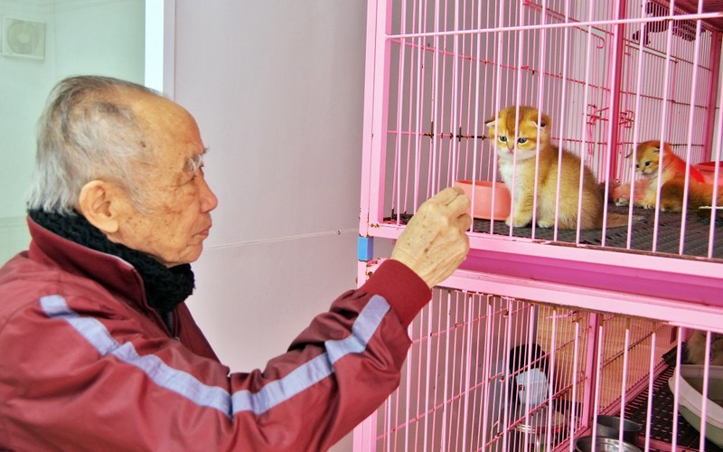 Cat love of Nguyen Bao Sinh!