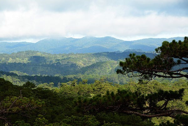 Exploring Langbiang - the first biosphere reserve in Central Highlands hinh anh 1