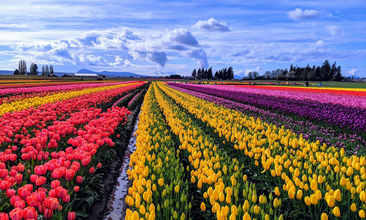 See the beautiful spring colors all over the planet