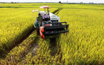 Đẩy mạnh cơ cấu lại ngành nông nghiệp và phát triển nông thôn tỉnh Thái Bình