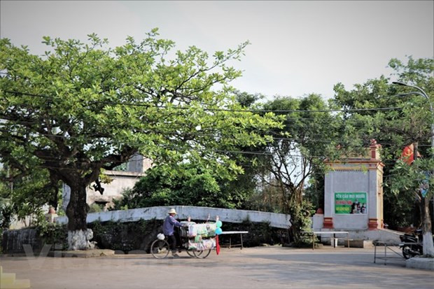 Dich Diep Trang millennium-old village in northern Vietnam hinh anh 1