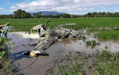 Rơi máy bay quân sự Philippines, 2 phi công thiệt mạng